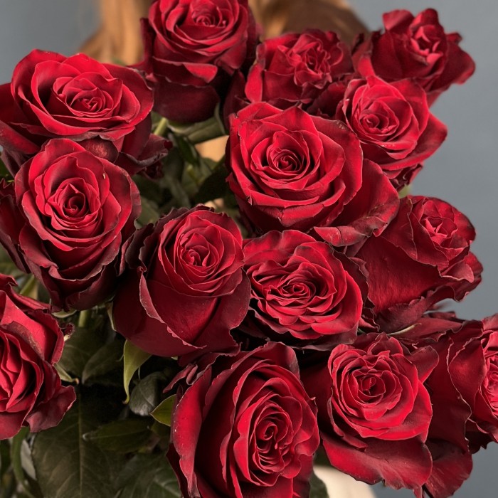 15 длинных красных роз 100 см