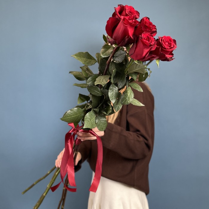 5 красных длинных роз 120 см