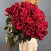 55 красных роз 110 см