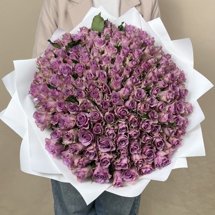 151 сиреневая роза Найтингейл 40 см