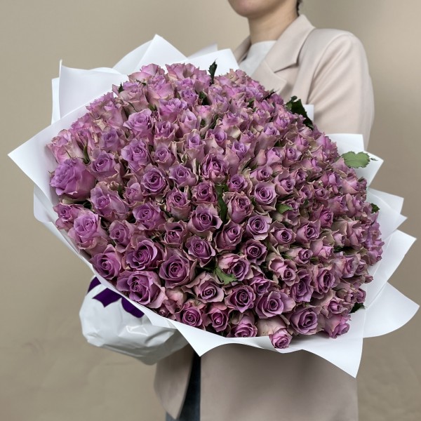 151 сиреневая роза Найтингейл 40 см