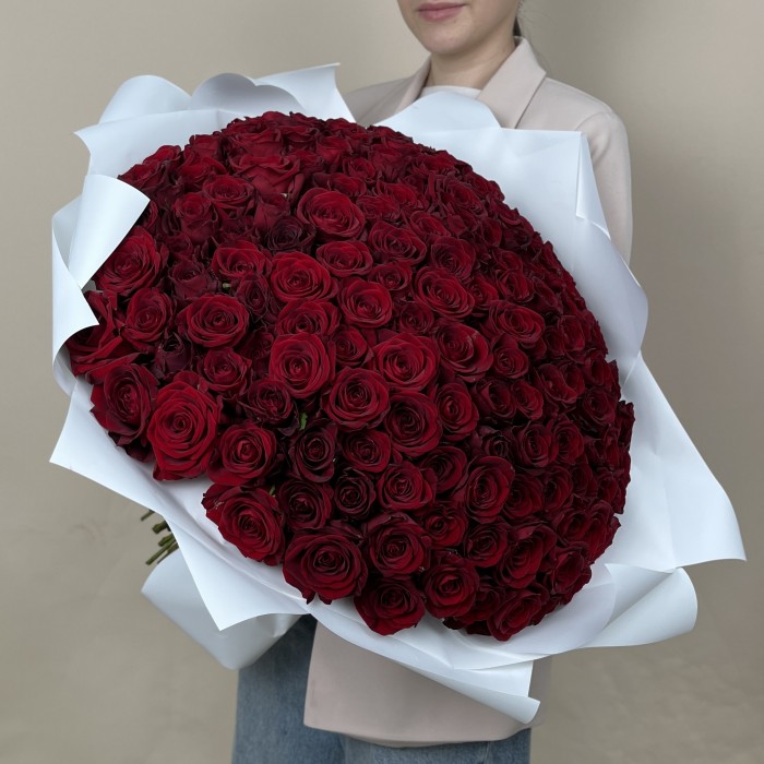 151 красная Роза ред Наоми 50 см