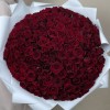 151 красная Роза ред Наоми 50 см