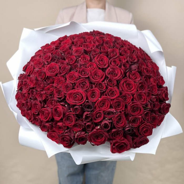 151 красная Роза ред Наоми 50 см