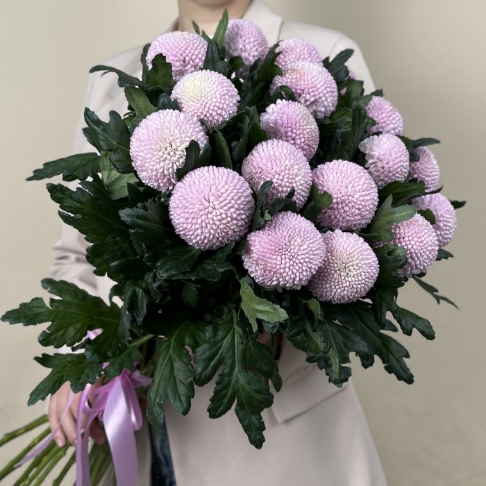 Хризантема розовая помпон