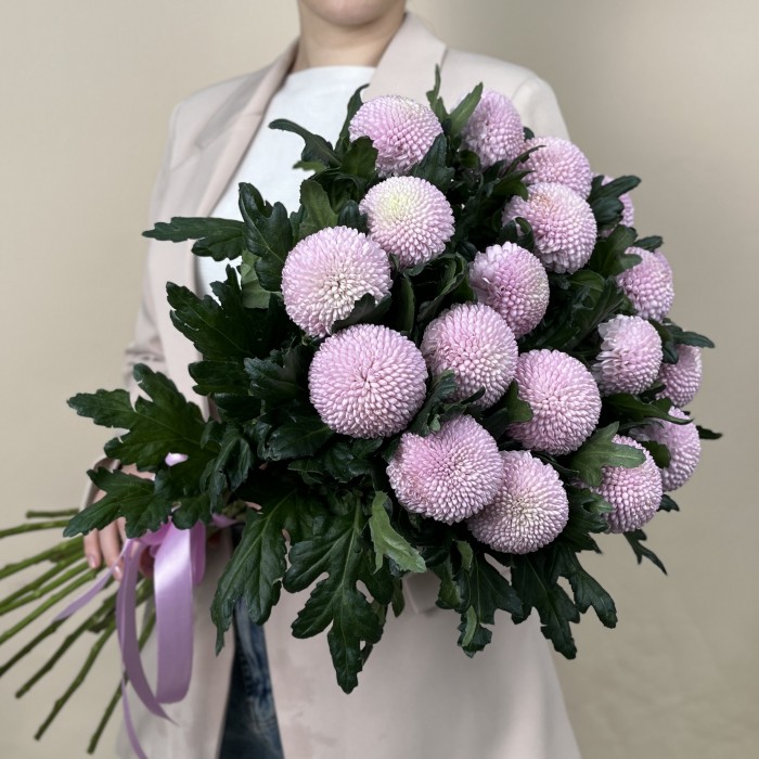 Хризантема розовая помпон