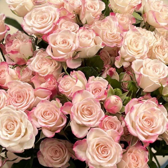 11 кустовых роз Рефлекс 70 см