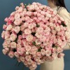 51 кустовая роза Рефлекс 70 см