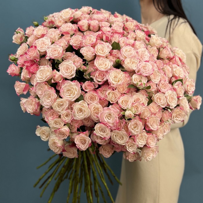 51 кустовая роза Рефлекс 70 см