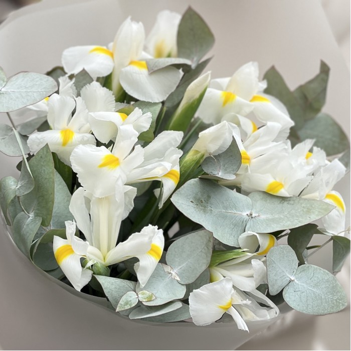 11 белых ирисов с эвкалиптом
