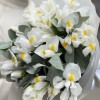 15 белых ирисов с эвкалиптом