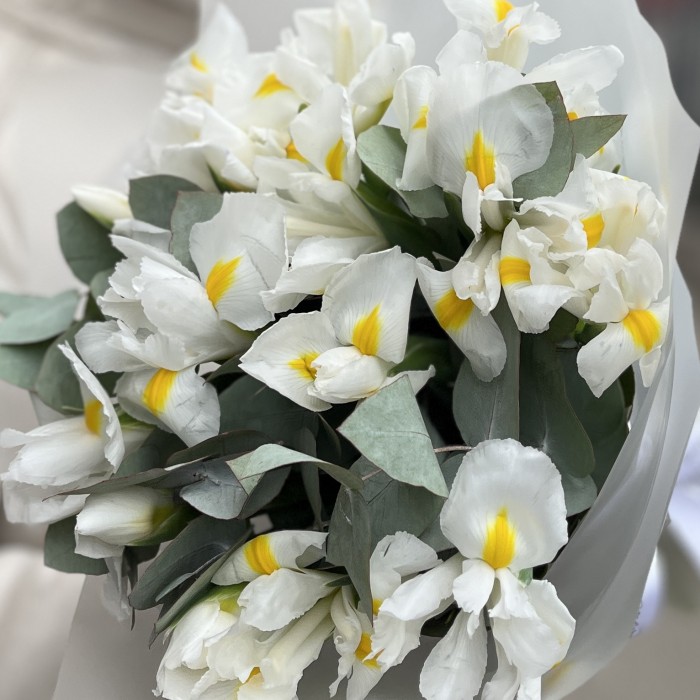 15 белых ирисов с эвкалиптом