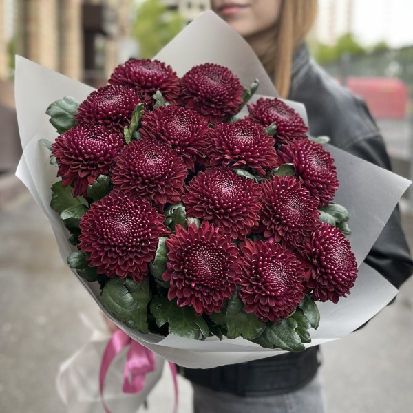 15 бордово-фиолетовых хризантем Покер