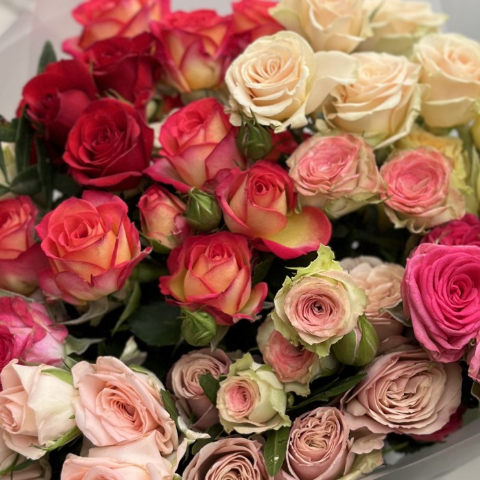 15 кустовых роз MIX
