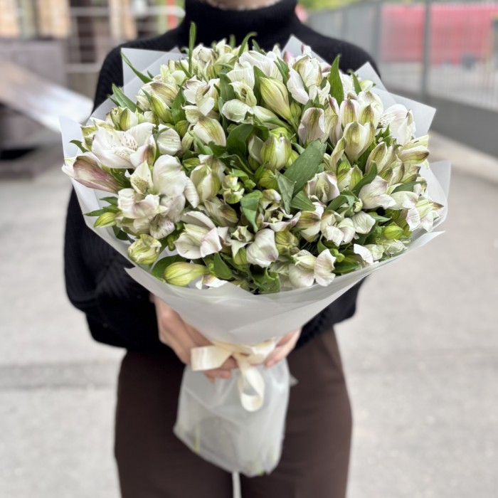 25 бело-фиолетовых альстромерий