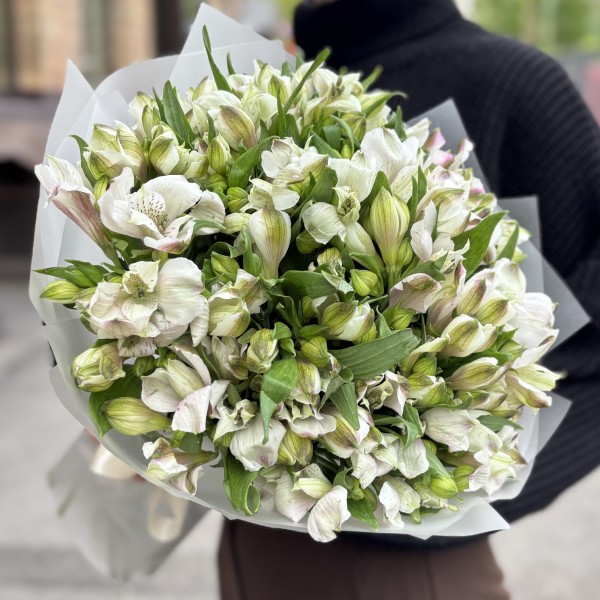 25 бело-фиолетовых альстромерий