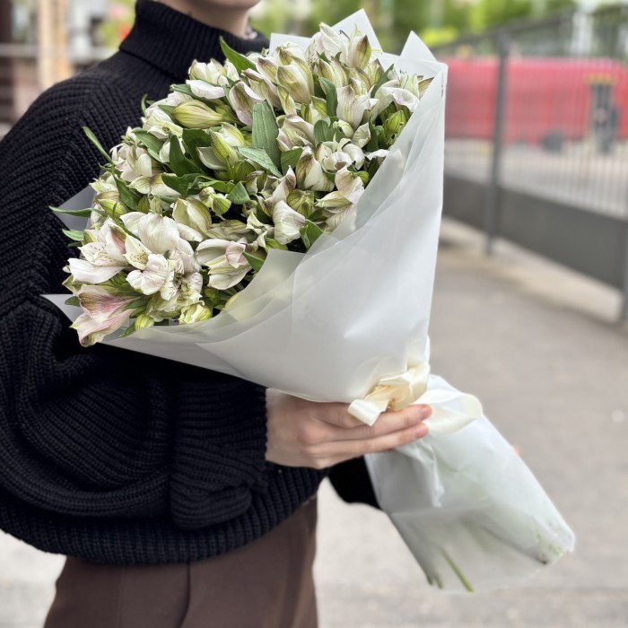 25 бело-фиолетовых альстромерий