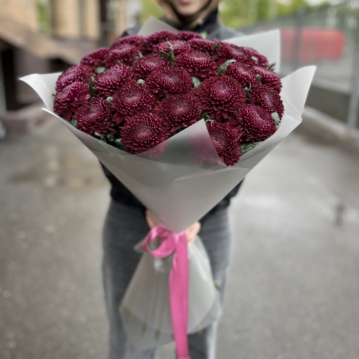 25 бордово-фиолетовых хризантем Покер
