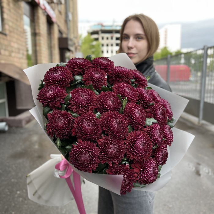 25 бордово-фиолетовых хризантем Покер