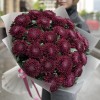 25 бордово-фиолетовых хризантем Покер