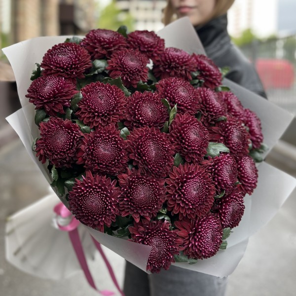 25 бордово-фиолетовых хризантем Покер