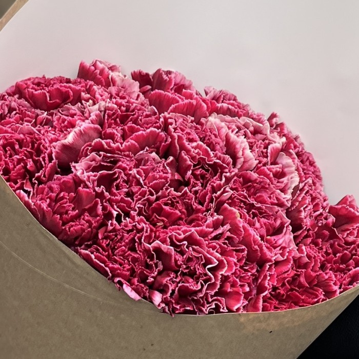 25 гвоздик боровые с белой каймой