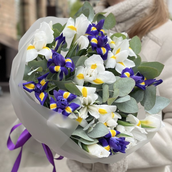 25 синих и белых ирисов с эвкалиптом