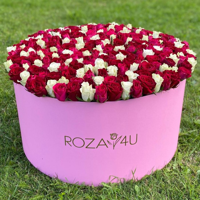 301 роза яркий микс в большой коробке