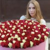 301 роза яркий микс в большой коробке