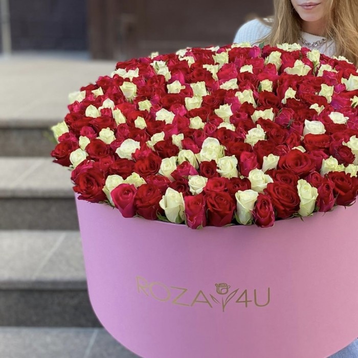301 роза яркий микс в большой коробке