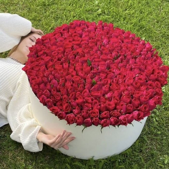 301 малиновая Роза такаци в большой коробке