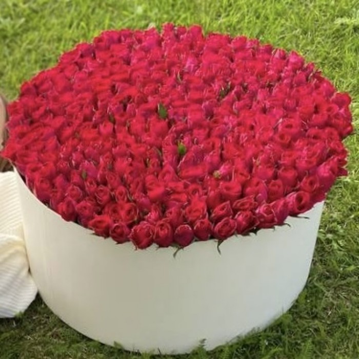 301 малиновая Роза такаци в большой коробке