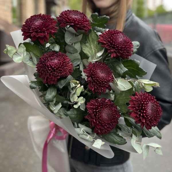 7 бордово-фиолетовых хризантем с эвкалиптом