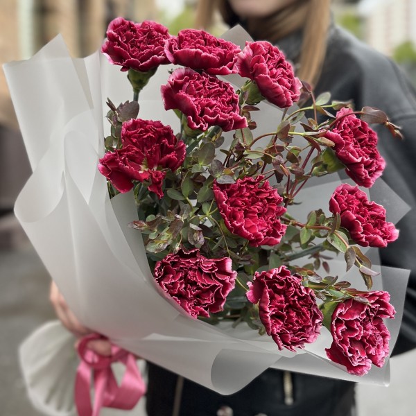Букет из 11 бордовых гвоздик с белым краем