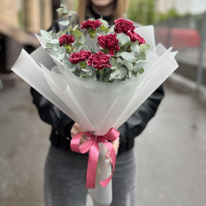 Букет из 7 бордовых гвоздик с белым краем