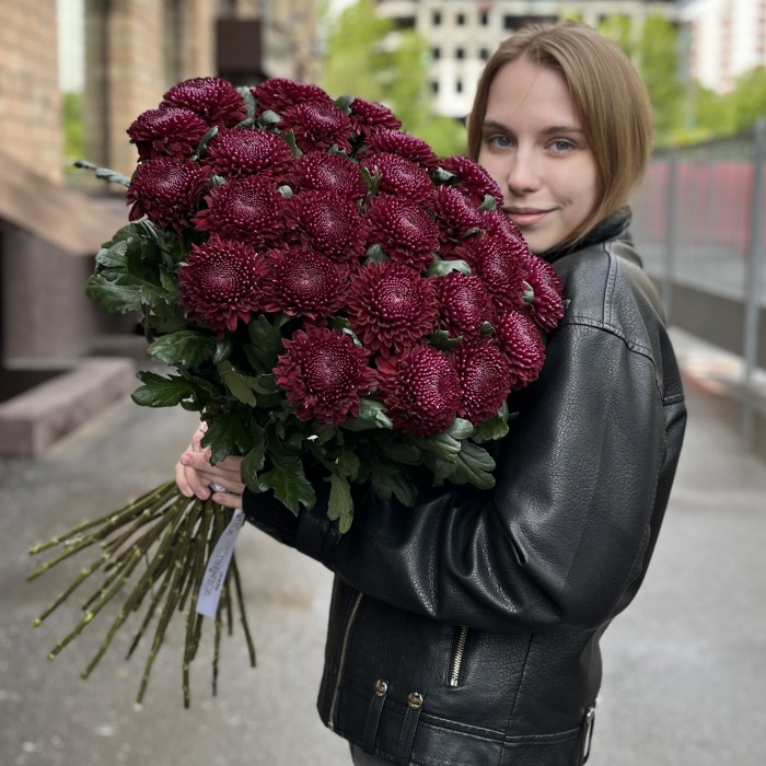 Хризантема бордово-фиолетовая Покер