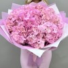 11 нежно-розовых гортензий