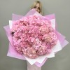 15 нежно-розовых гортензий