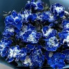 21 гвоздика Вайт Блю Молли
