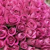 75 розовых роз Аква 40 см