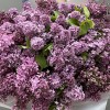 Средний Букет фиолетовой сирени