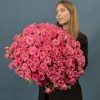 101 нежная кустовая роза Натали 40 см