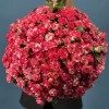 101 кустовая Роза Файрворкс 40 см