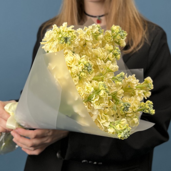 11 кремовых ароматных маттиол