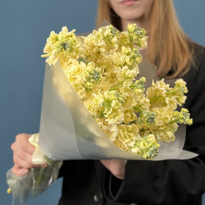 11 кремовых ароматных маттиол