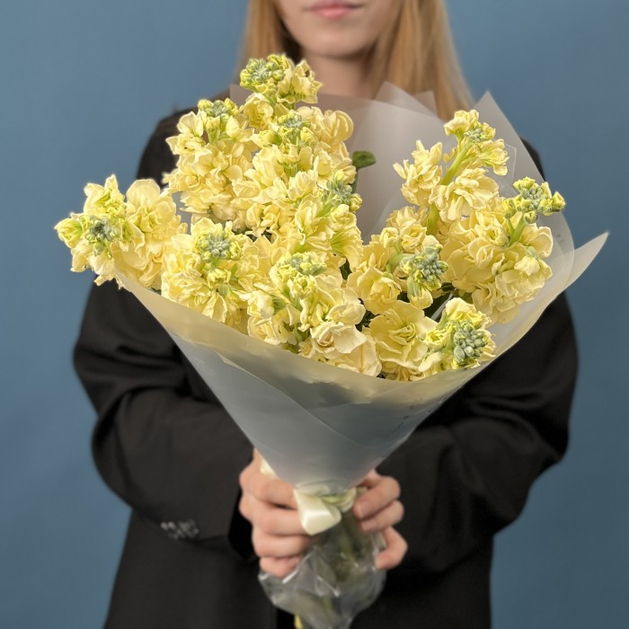 11 кремовых ароматных маттиол