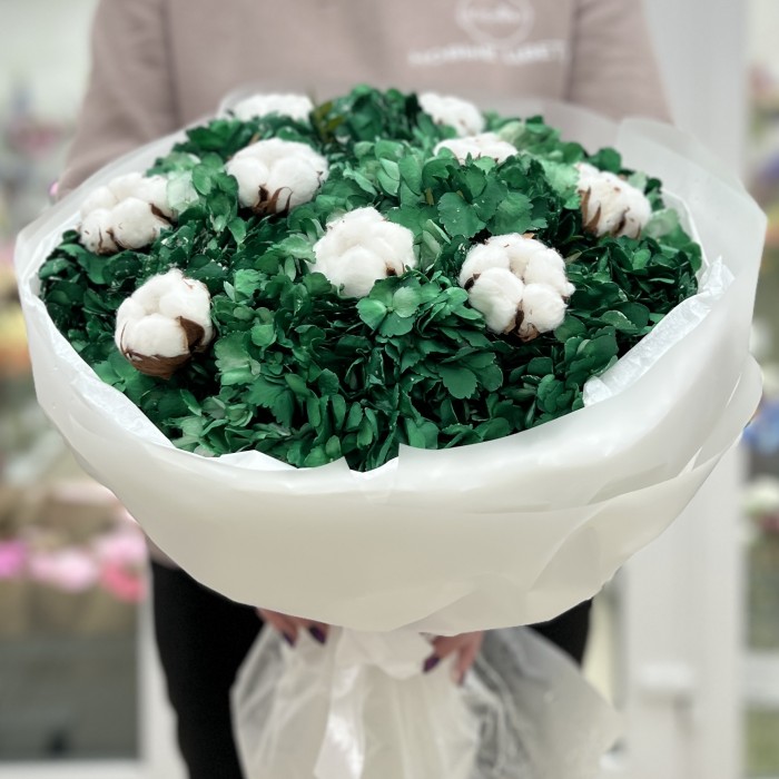 11 гортензий Дарк грин с хлопком