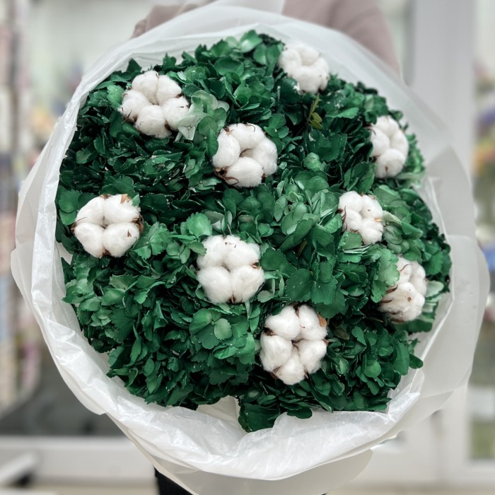 11 гортензий Дарк грин с хлопком