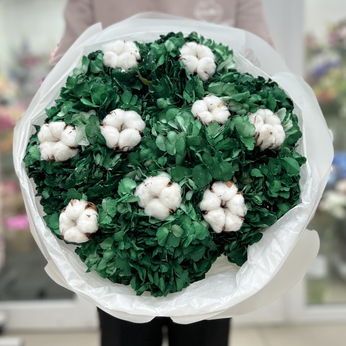 11 гортензий Дарк грин с хлопком