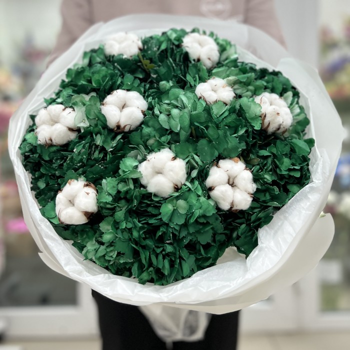 11 гортензий Дарк грин с хлопком